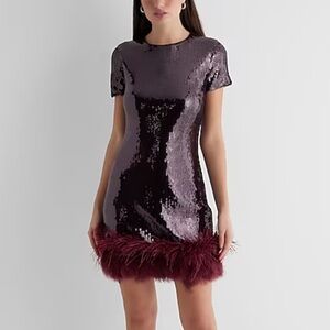 Sequin Crew Neck Feather Hem Mini Dress